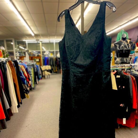 Lan Ting Sz. 16 2pc Lace Gown w/Cover NEW - Picture 1 of 8